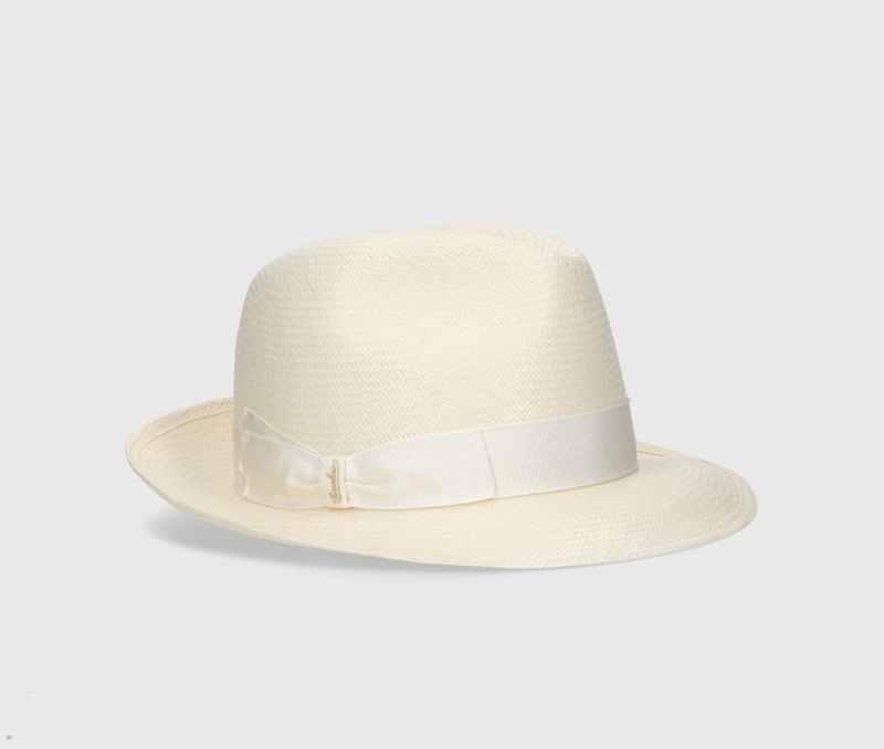 Chapeaux De Paille Borsalino Monica Panama Fine Medium Brim Argent | ZXG-94898972