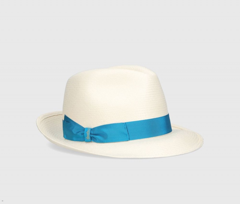 Chapeaux De Paille Borsalino Monica Panama Fine Medium Brim Bleu | FCP-03670000