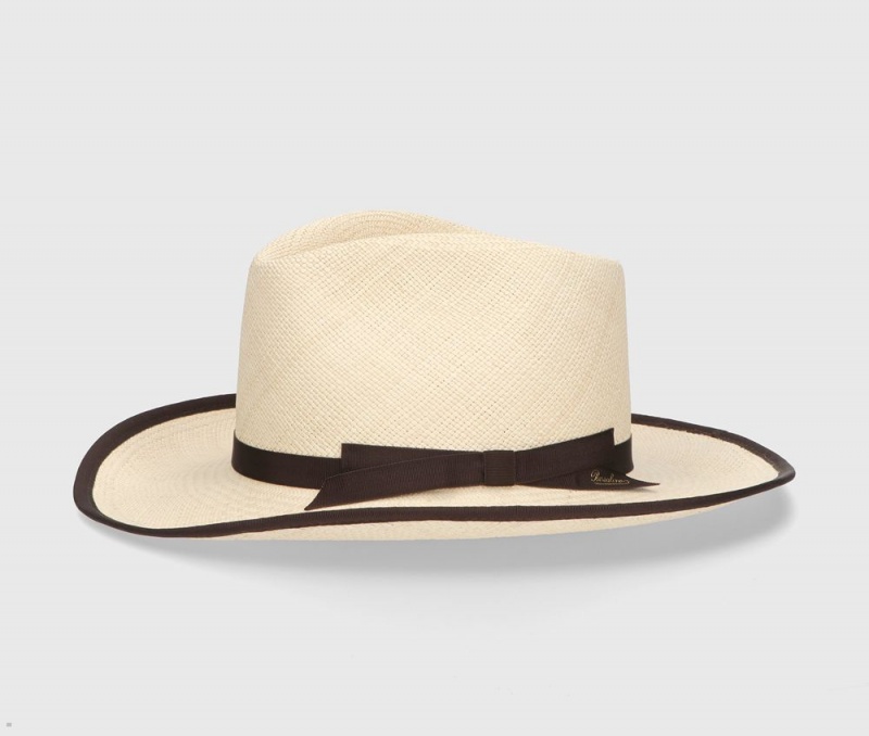 Chapeaux De Paille Borsalino Lewis Panama Quito Beige | YEN-56894113