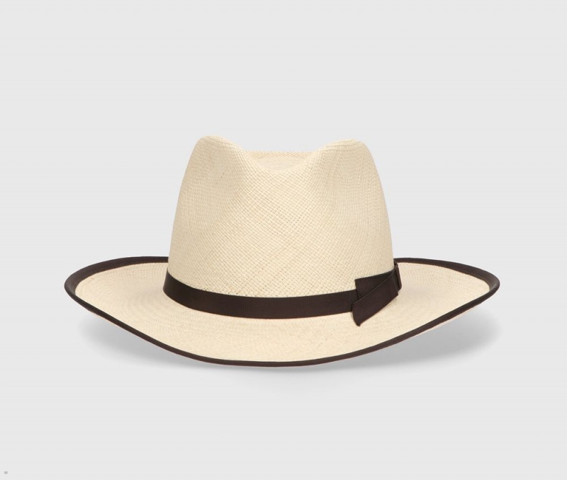 Chapeaux De Paille Borsalino Lewis Panama Quito Beige | YEN-56894113