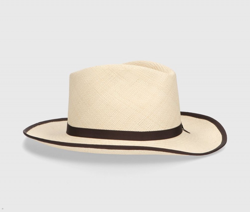 Chapeaux De Paille Borsalino Lewis Panama Quito Beige | YEN-56894113