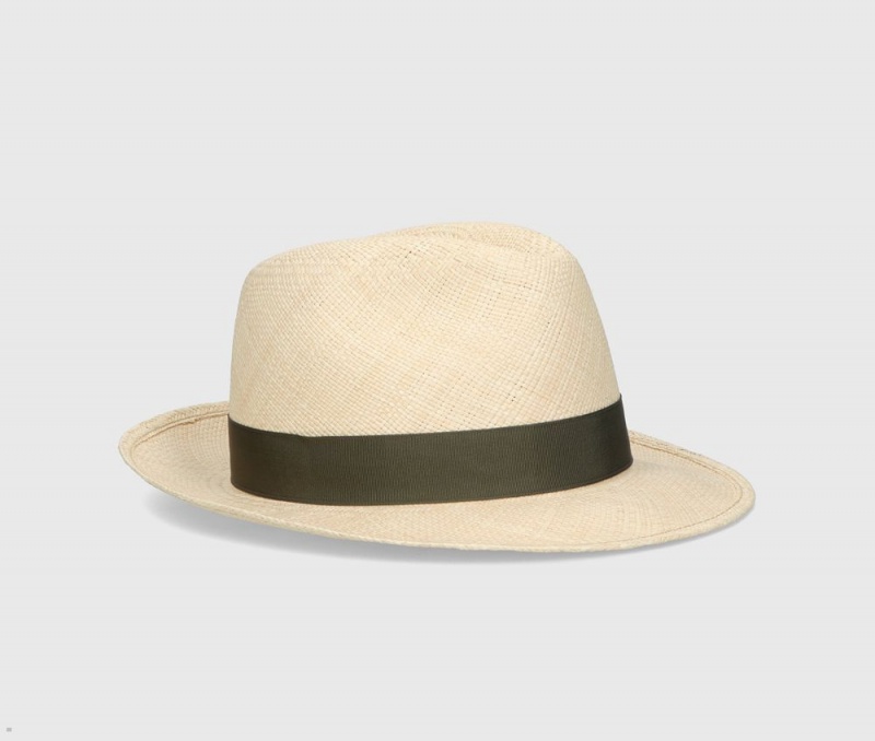 Chapeaux De Paille Borsalino Federico Panama Quito Medium Brim Vert Olive | NZF-87254242