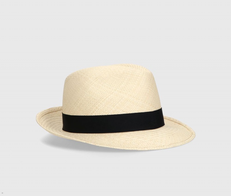 Chapeaux De Paille Borsalino Federico Panama Quito Medium Brim Noir | NIR-75379530