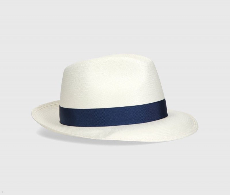 Chapeaux De Paille Borsalino Federico Panama Fine Medium Brim Bleu | XJU-42508464