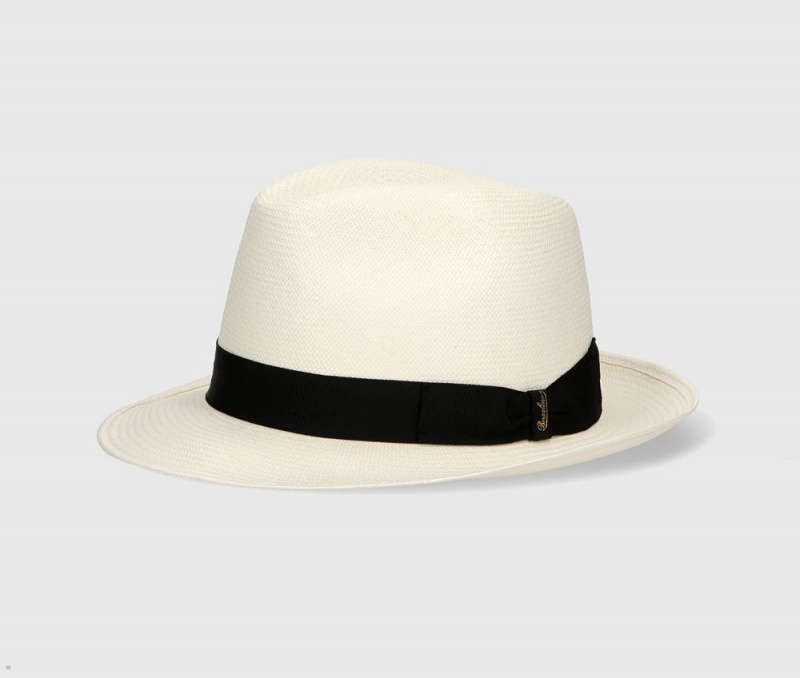 Chapeaux De Paille Borsalino Federico Panama Fine Medium Brim Noir | QPY-29743289