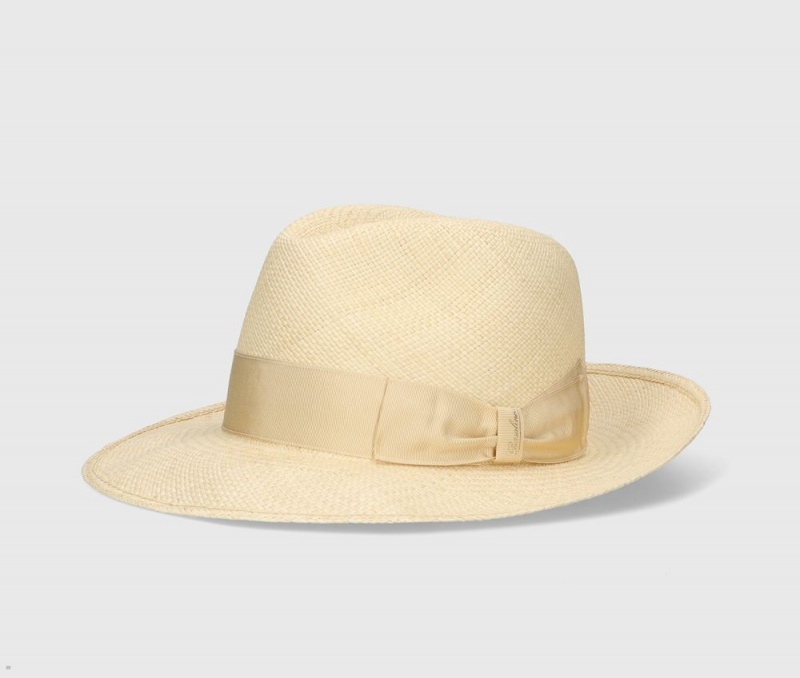 Chapeaux De Paille Borsalino Amedeo Panama Quito Larges Brim Beige | OLQ-85305253