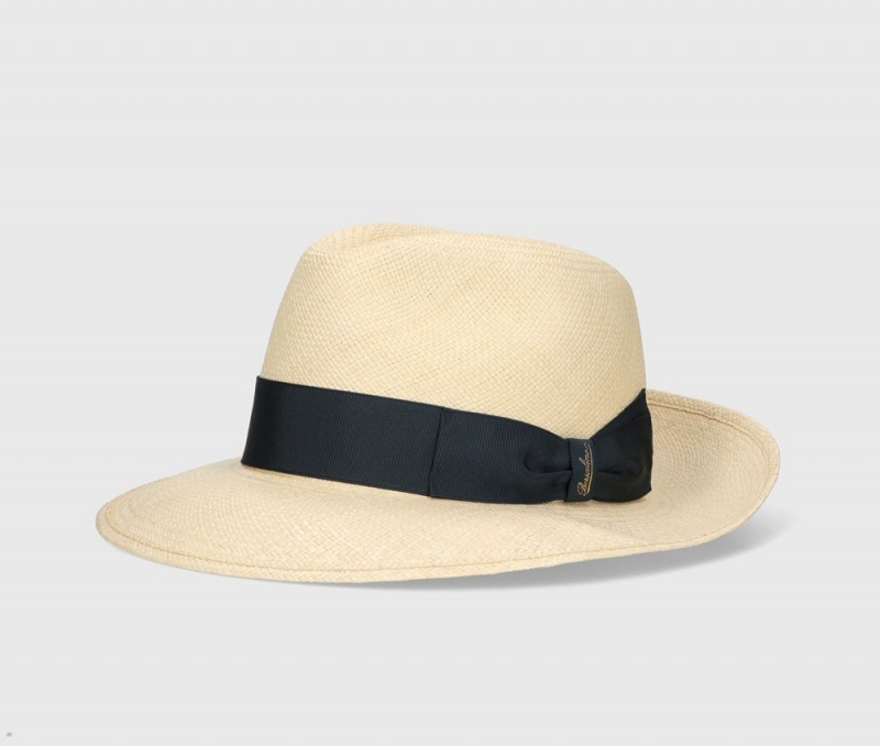 Chapeaux De Paille Borsalino Amedeo Panama Quito Larges Brim Bleu | ZNV-70801394