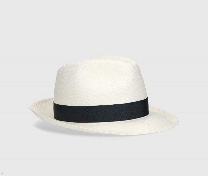 Chapeaux De Paille Borsalino Fidel Panama Extrafine Medium Brim Blanche Grise | ABB-19517614